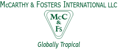 Mccarthy Fosters LLC